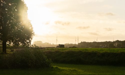 MVO jaarverslag